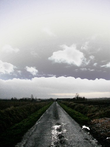 photo from the fields